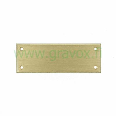 Door plate brass 115x40 mm