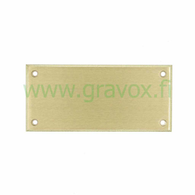 Door plate brass 120x55 mm
